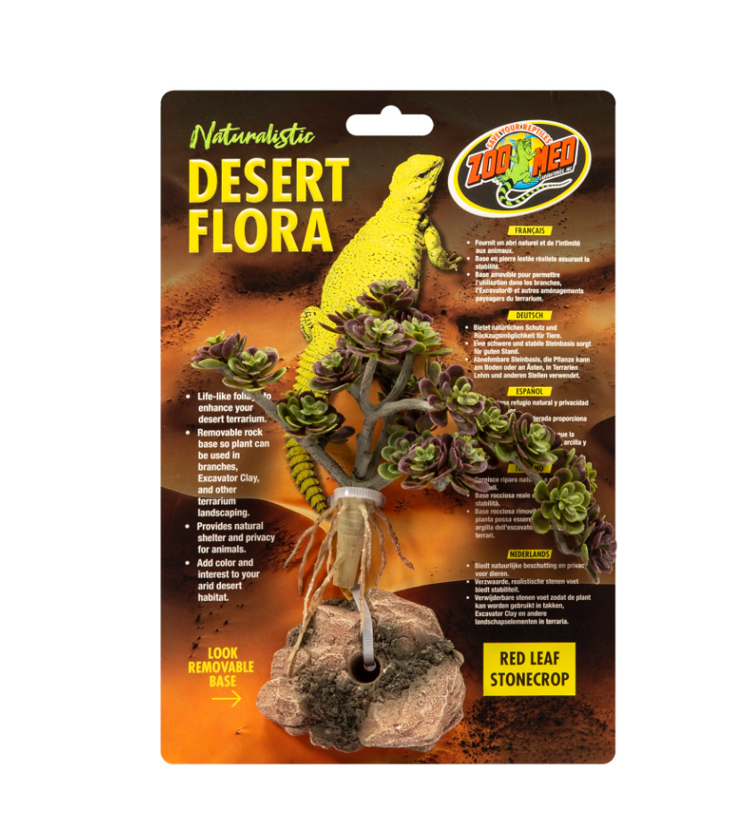 Zoo Med Desert Flora Plant Red Leaf Stonecrop, 1ea/One Size