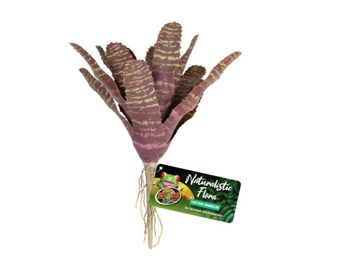 Zoo Med Naturalistic Flora Chestnut Bromeliad Terrarium Plant