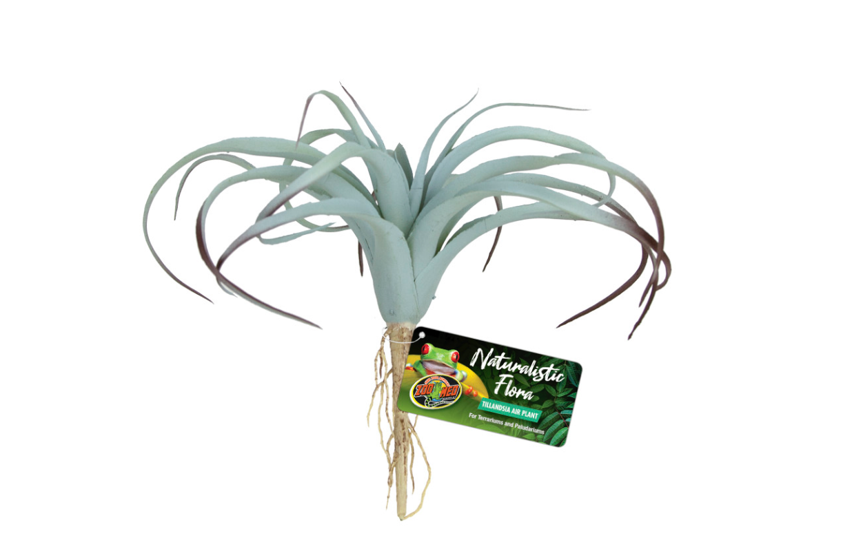 Zoo Med Naturalistic Flora Tillandsia Air Plant Terrarium Plant