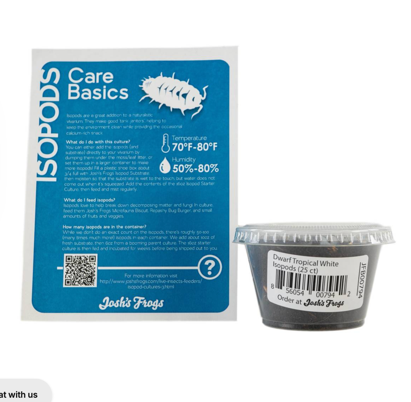 Dwarf Tropical White Isopods - Trichorhina tomentosa (25 count)