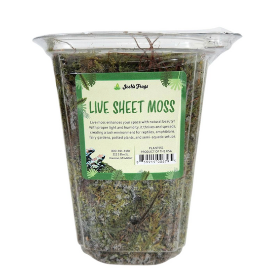 Josh's Frogs Live Sheet Moss | Medium