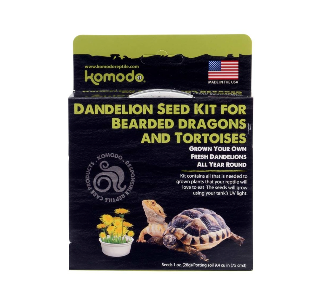 Komodo Grow your Own Dandelion Treat 6.5in