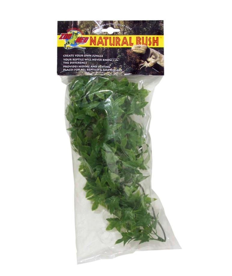 Zoo Med Natural Bush Plants Congo Ivy Small