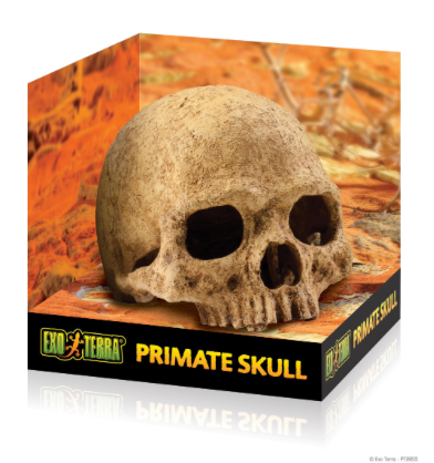 EXO TERRA PRIMATE SKULL