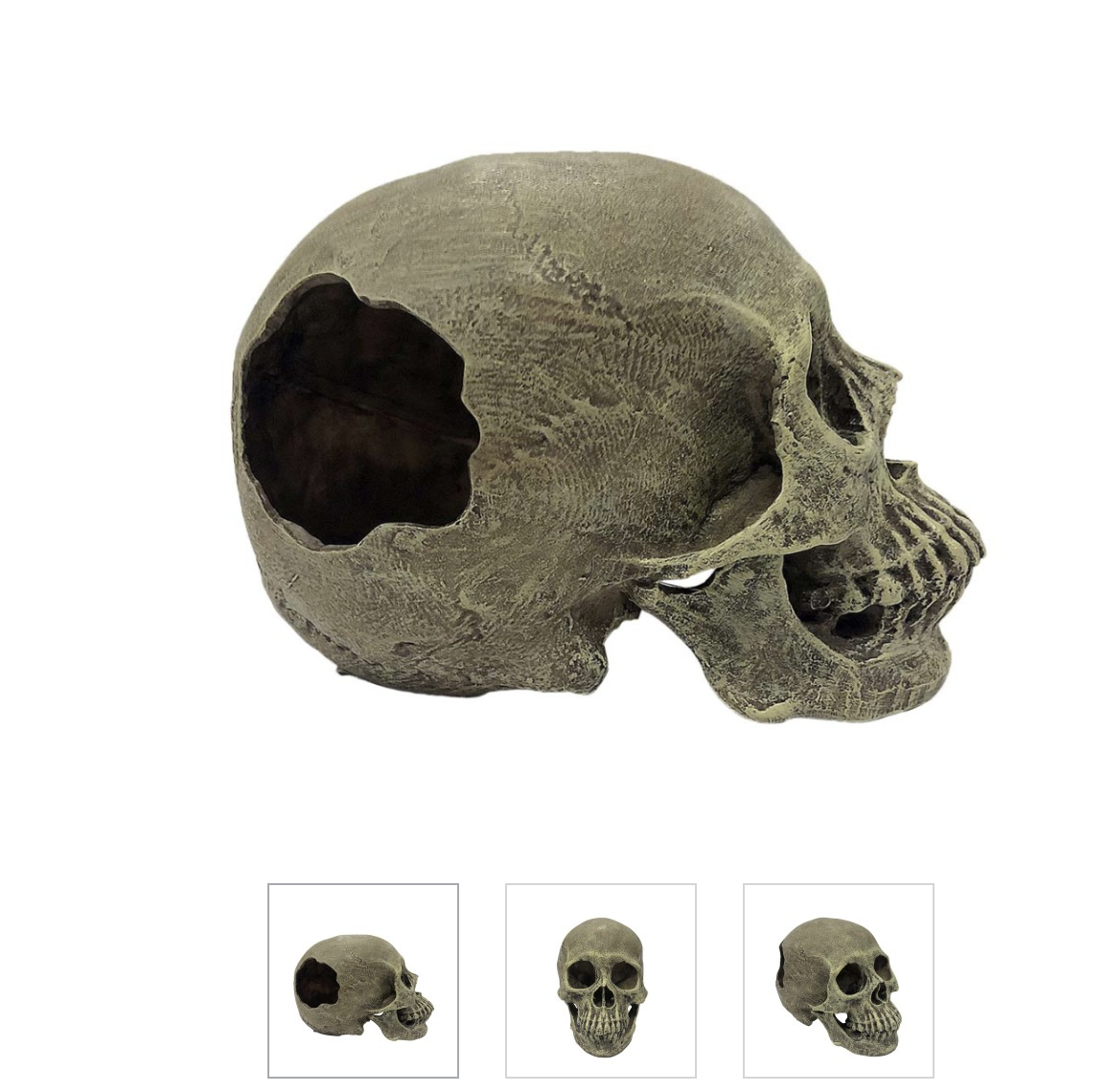Komodo Full Human Skull Reptile Hideout Gray, 1ea/One Size