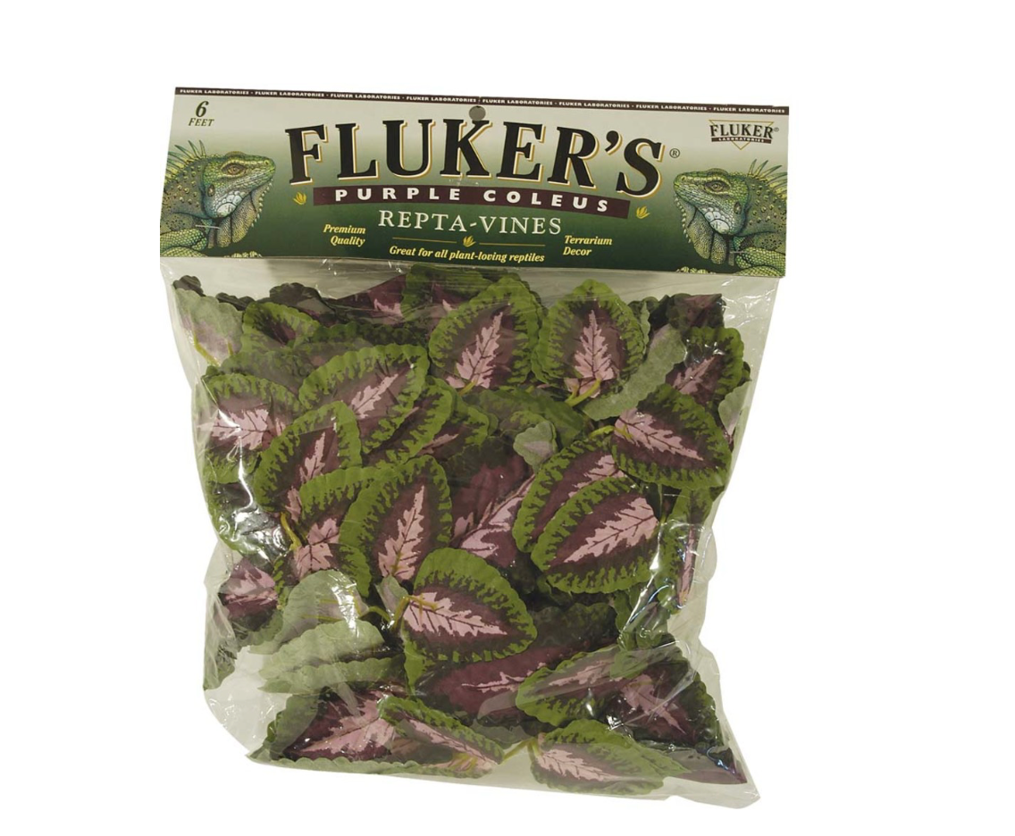 Fluker's Purple Coleus Repta-Vines Green, Purple, 1ea/6 ft