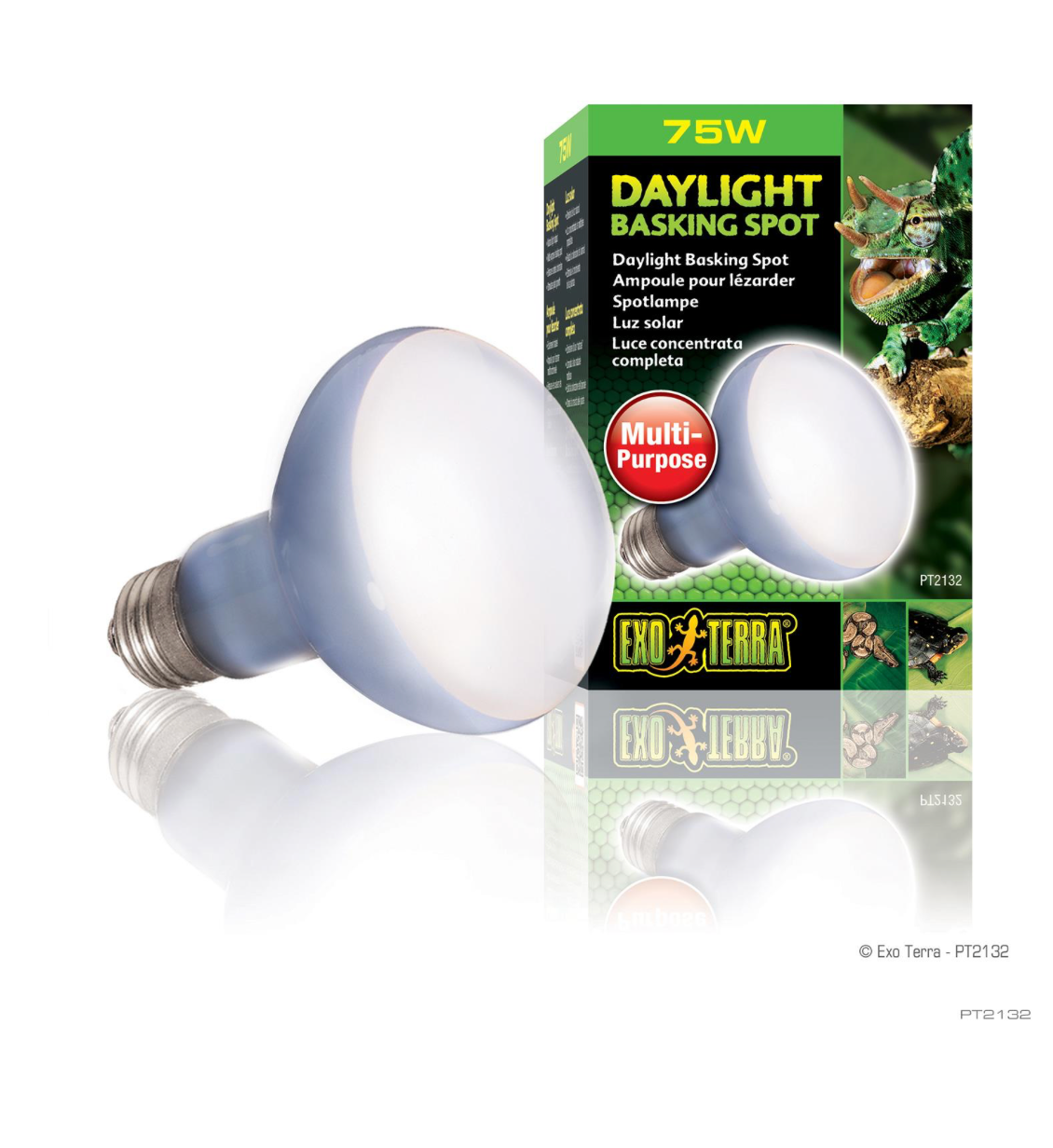 EXO TERRA DAYLGHT BASK LMP 75WT SPOT