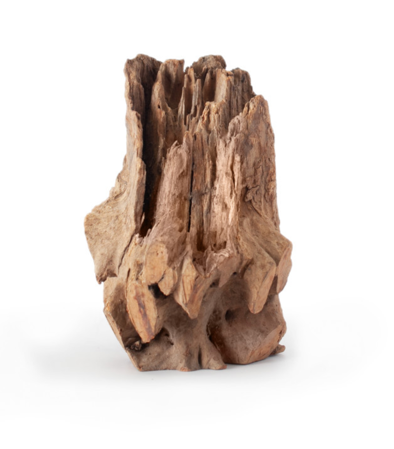 Galapagos Hollow Log Hide Natural Eucalyptus 6-8in