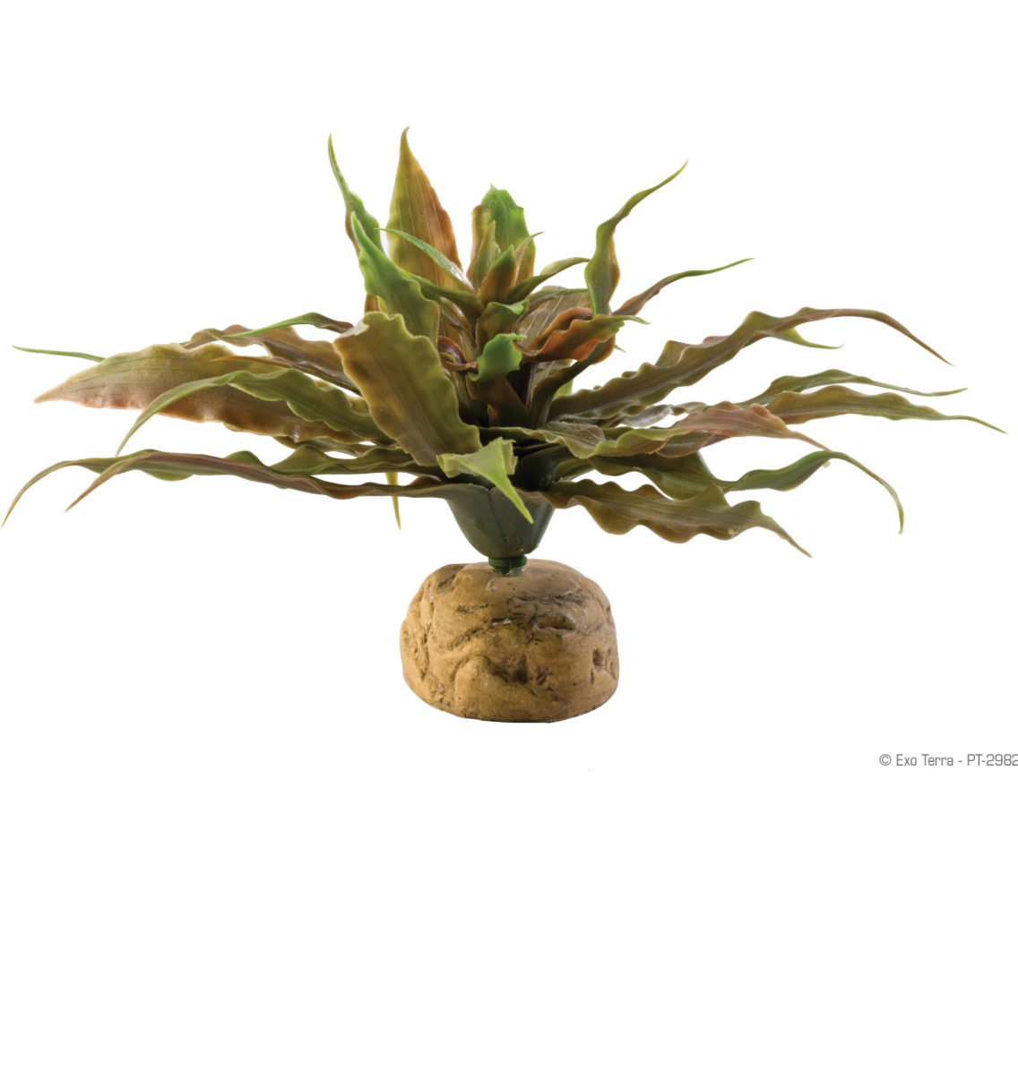 EXO TERRA STAR CACTUS PLNT TERR