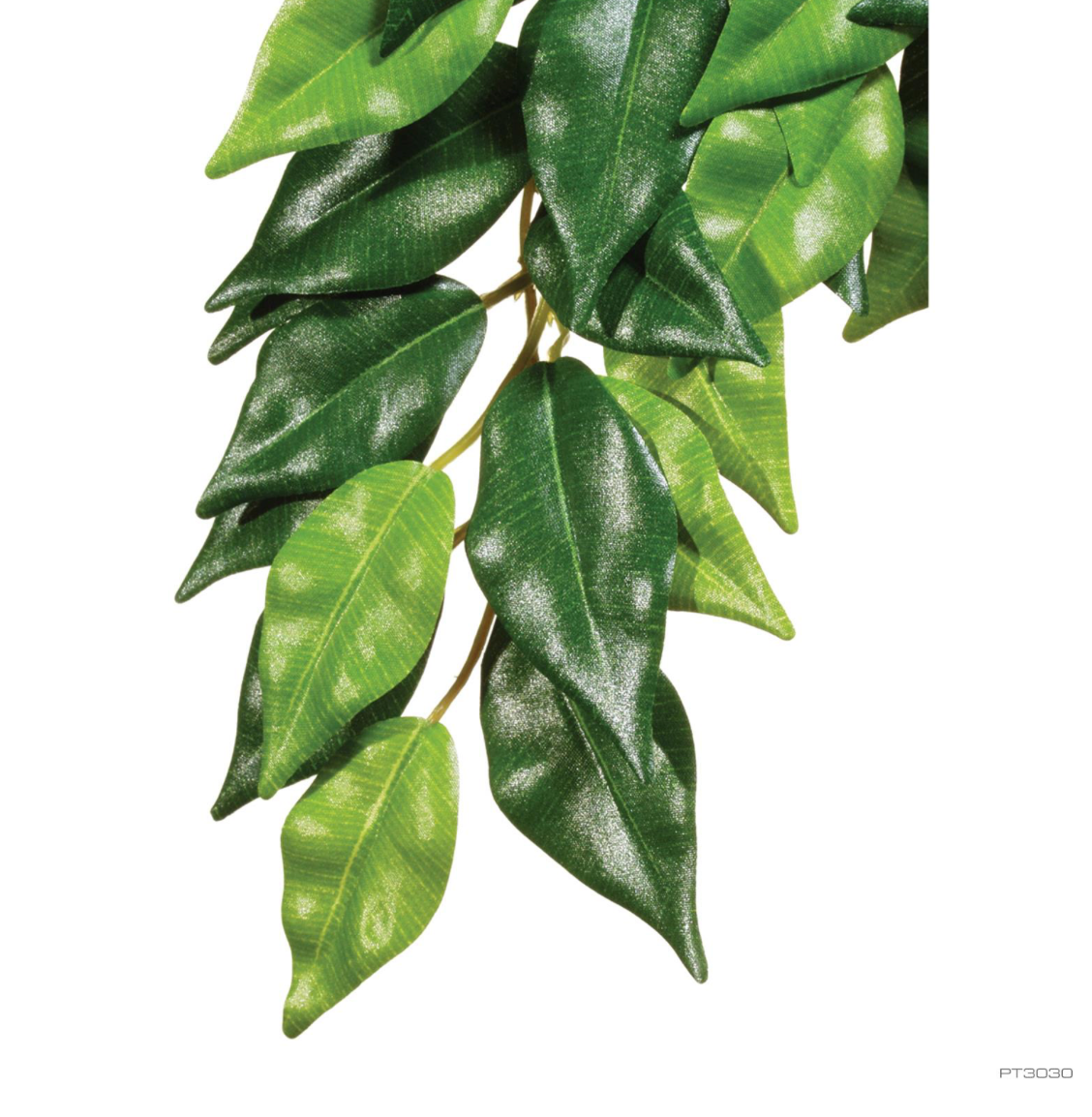 EXO TERRA JUNGLE PLNT FICUS SM SILK