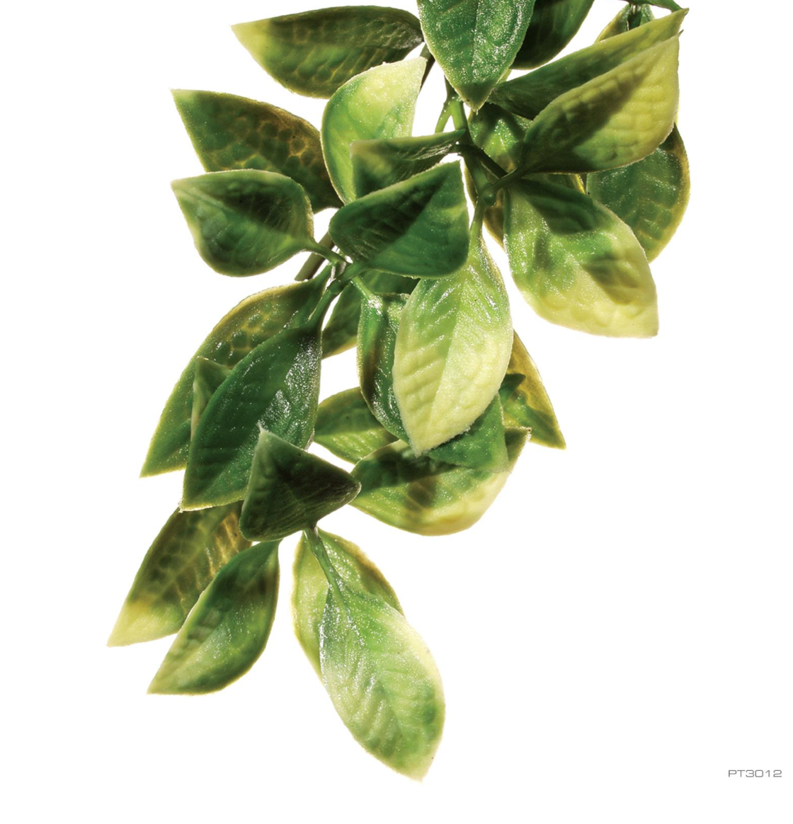 EXO TERRA JUNGLE PLNT MD PLASTIC MANDARIN MANDA