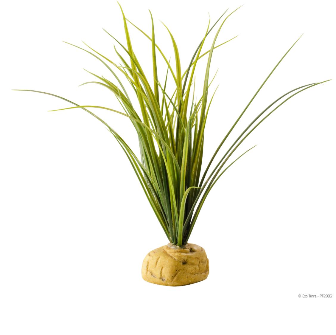 EXO TERRA TRTL GRASS PLNT