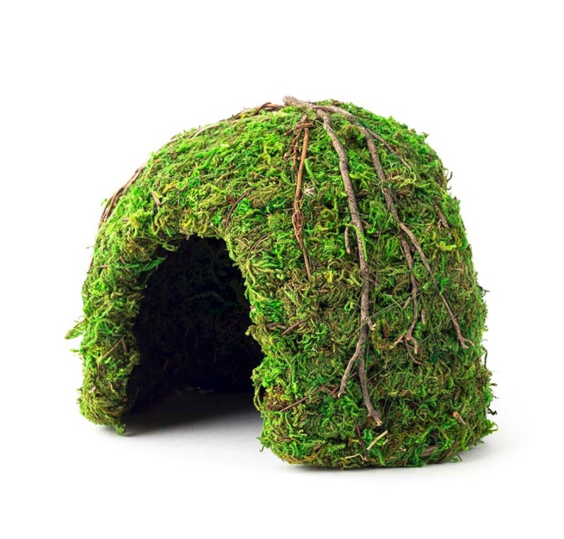 Galapagos Mossy Dome Terrarium Hideaway Fresh Green, 1ea/6 in
