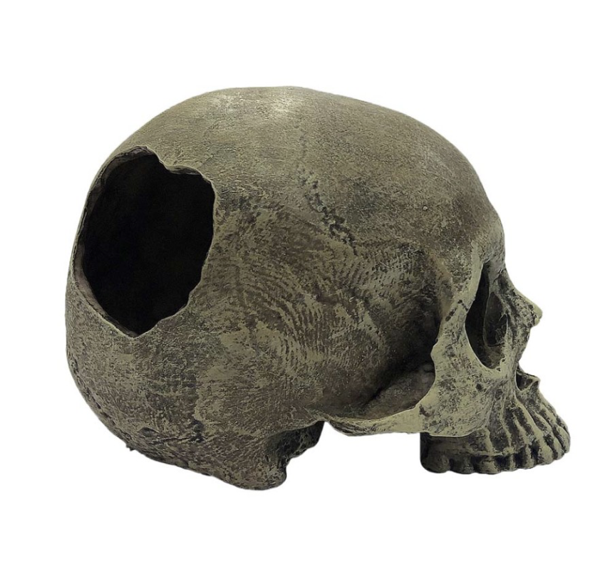 Komodo Half Human Skull Reptile Hideout Gray, 1ea/One Size