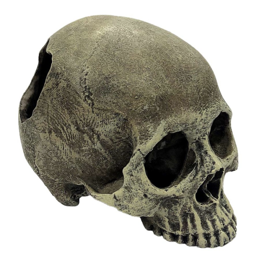 Komodo Half Human Skull Reptile Hideout Gray, 1ea/One Size