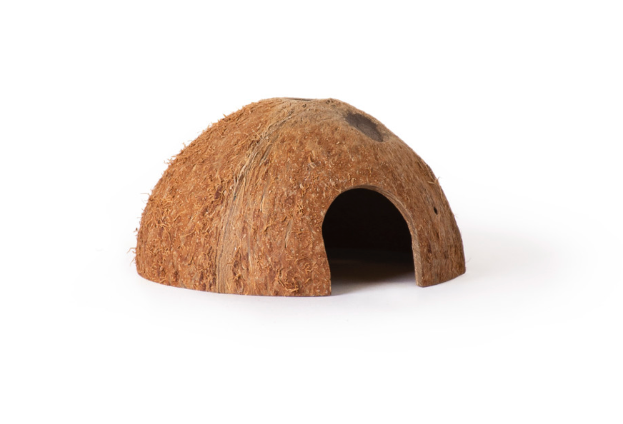 Coco Crypts Galapagos Natural Coco Cave 1ea/3.5-4.5 in