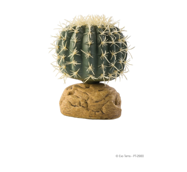 Exo Terra Barrel Cactus Terrarium Plant