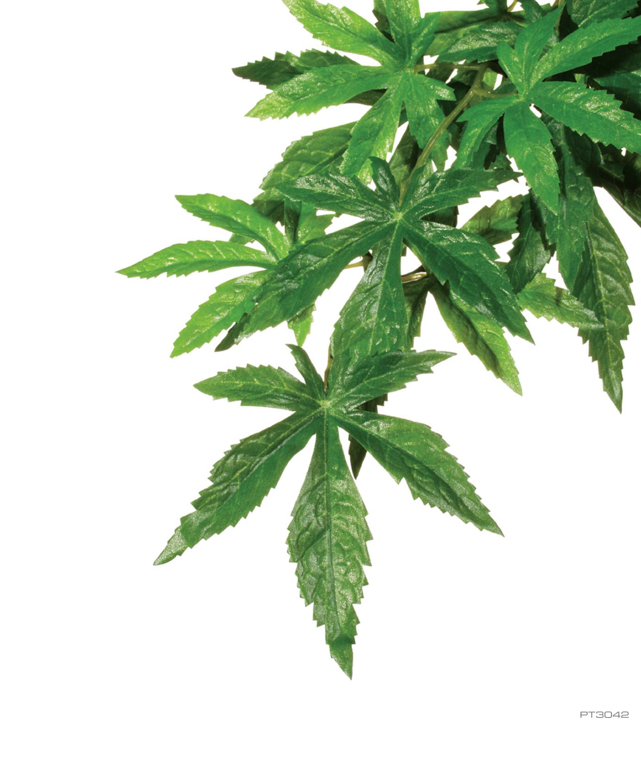 EXO TERRA JUNGLE ABUTILON  SILK PLNT