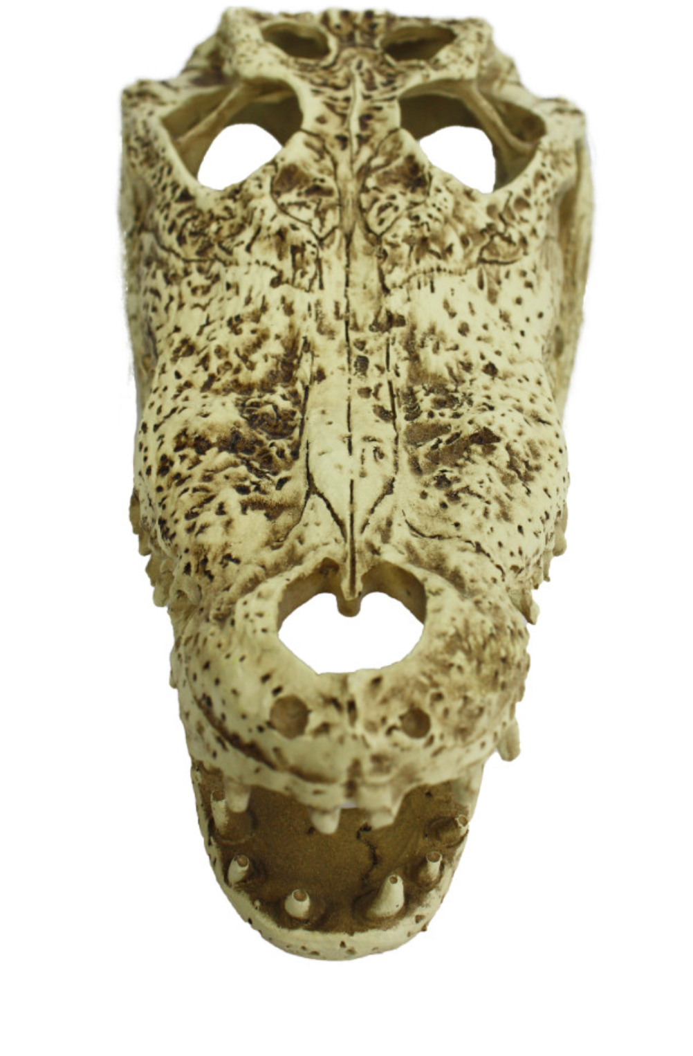 Komodo Alligator Skull Hideout