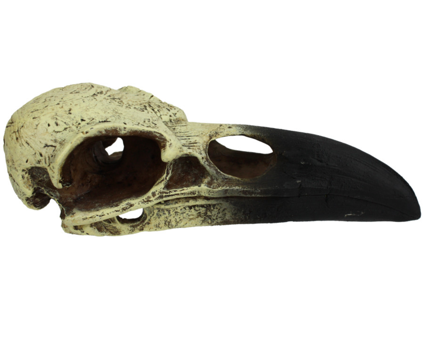 Komodo Raven Skull Hideout 1ea/LG, 18 in