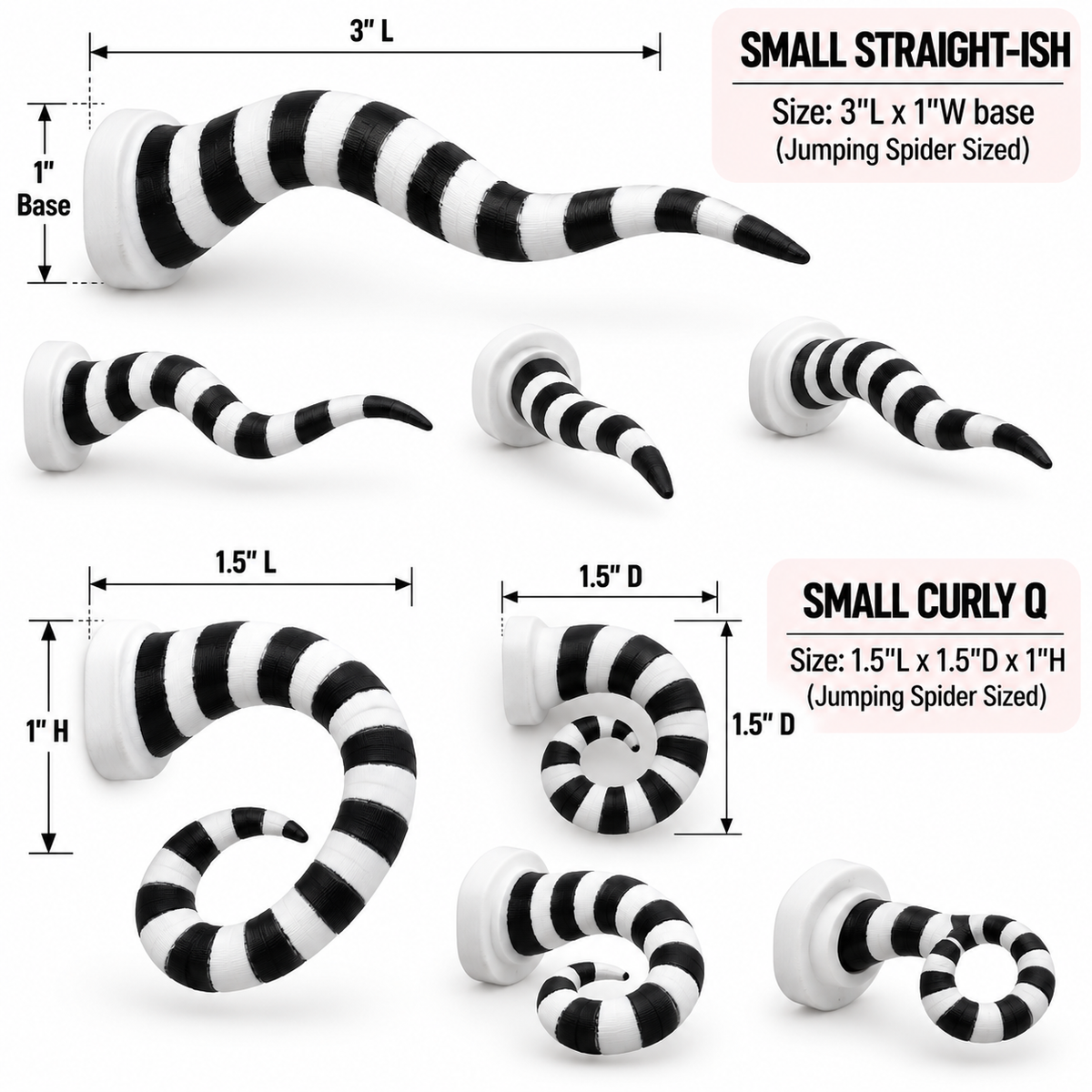 Black and White Striped Ledge for Jumping Spiders