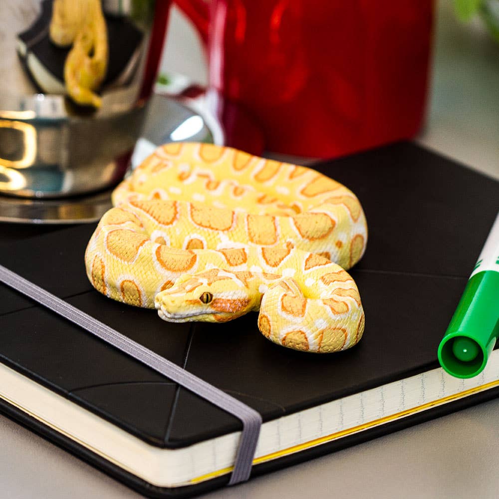 Safari Ltd. - Albino Burmese Python - 100250