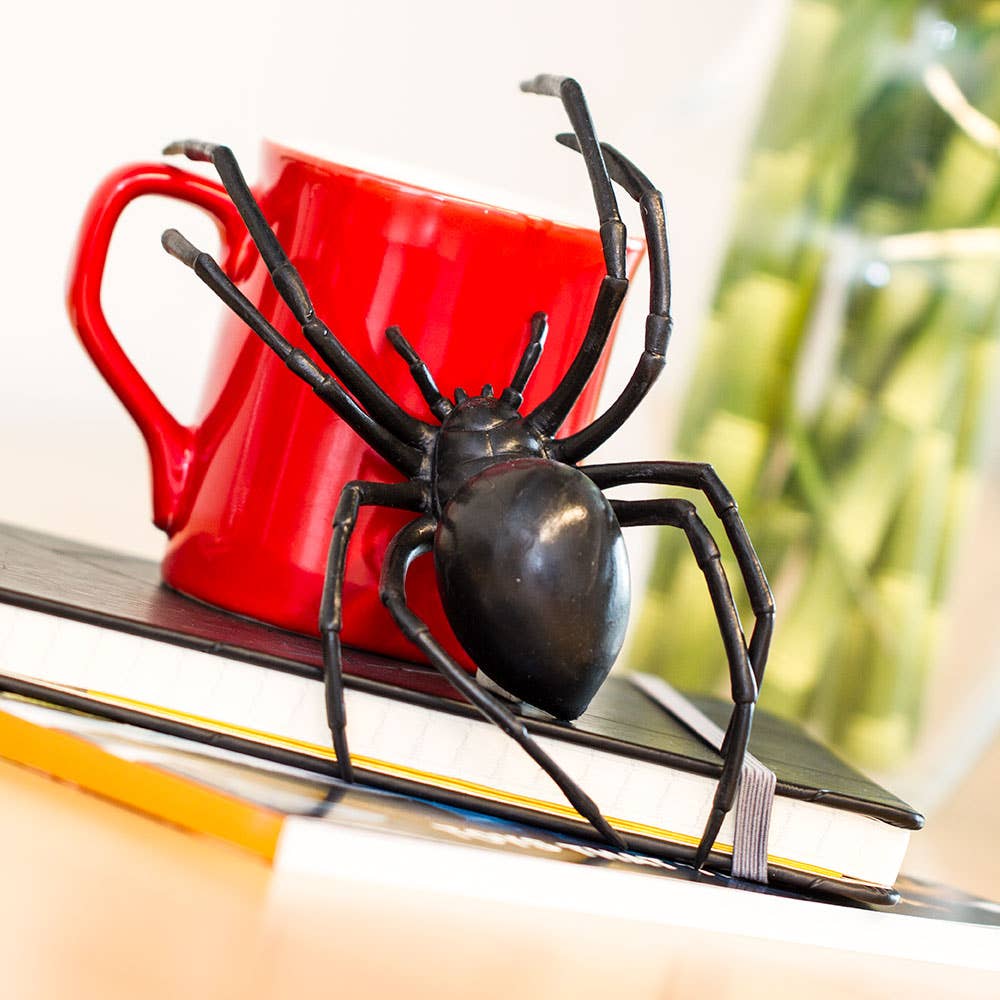 Black Widow Spider