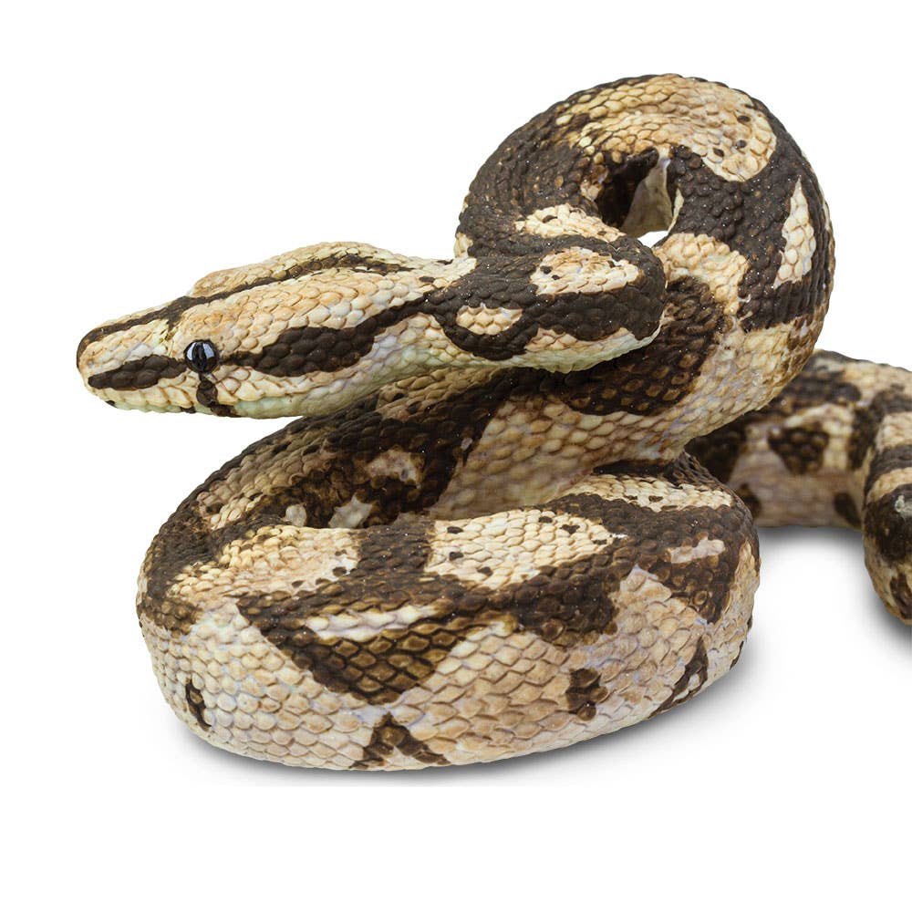 Safari Ltd. - Boa Constrictor Figurine Toy
