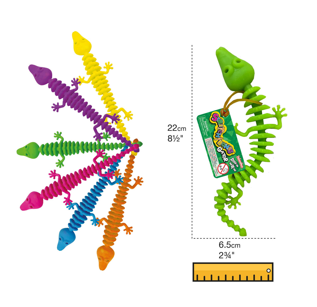 Deluxebase - Stretchibones - Alligator Stretchy Skeleton