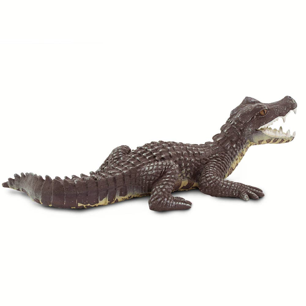 Caiman - 100238