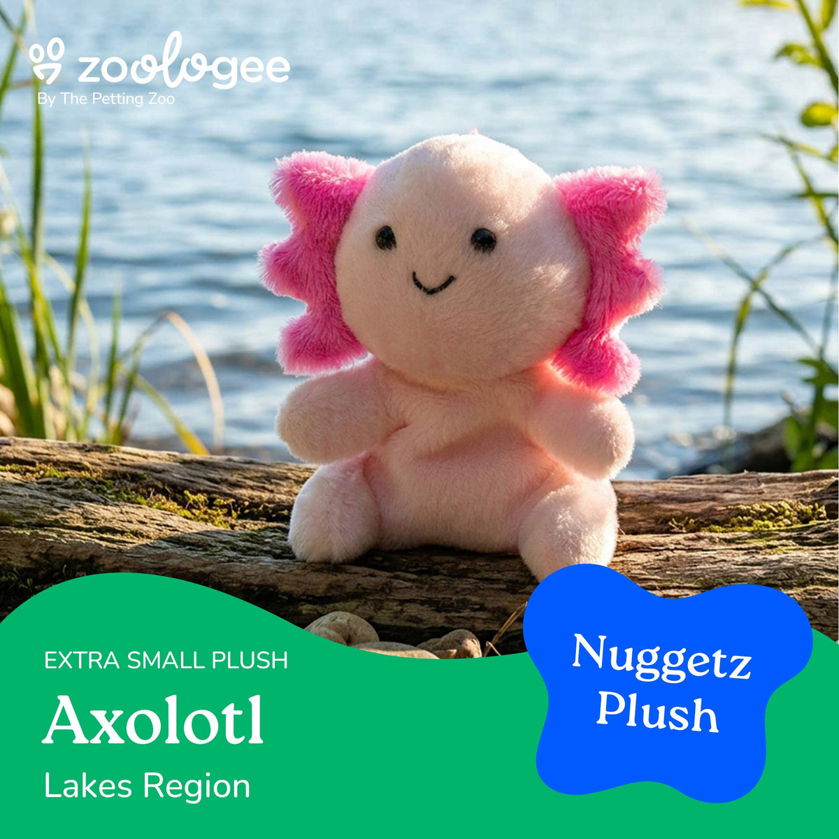The Petting Zoo - 6" (16cm) Nuggetz Axolotl Sea Life