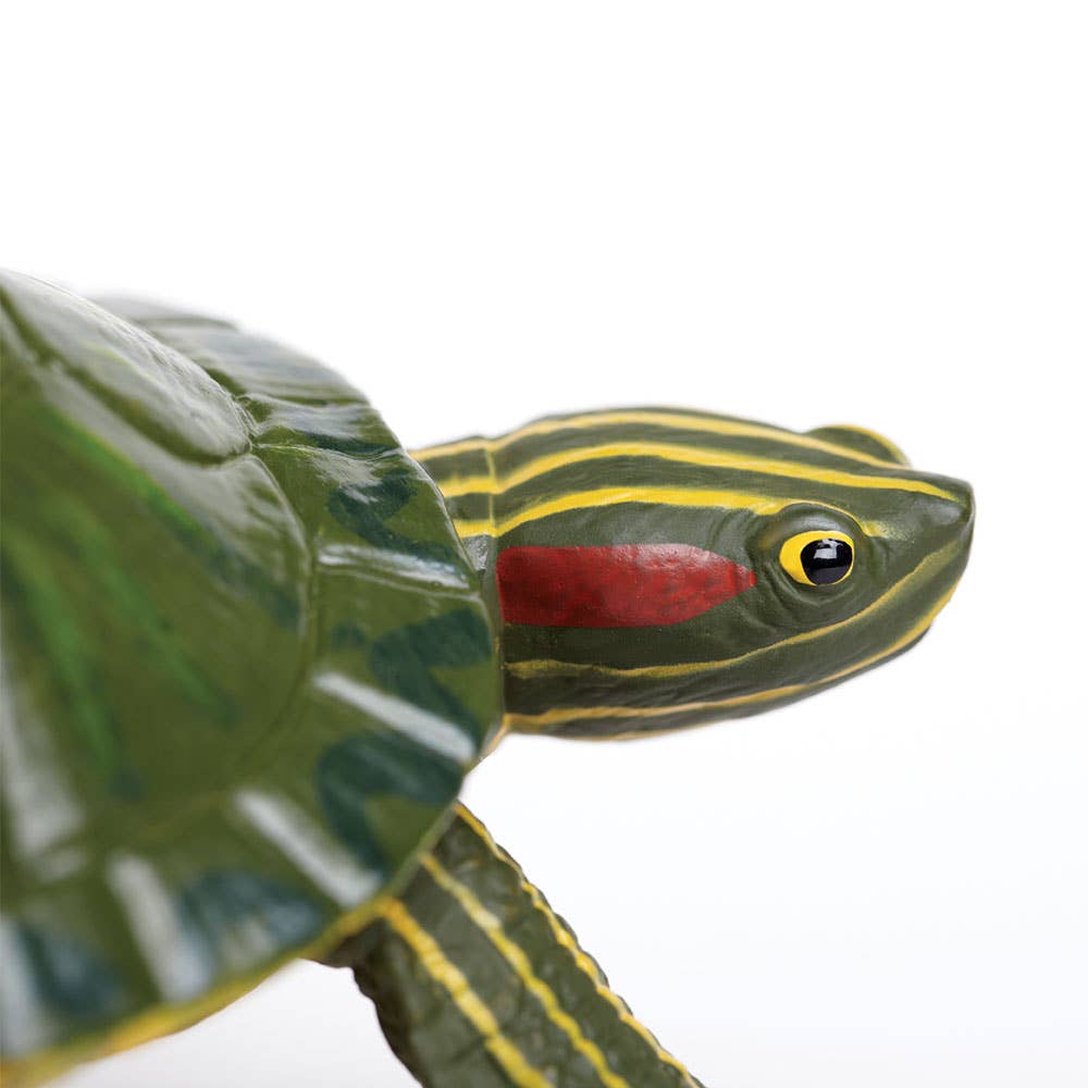 Safari Ltd. - Red - Eared Slider Turtle - 269529