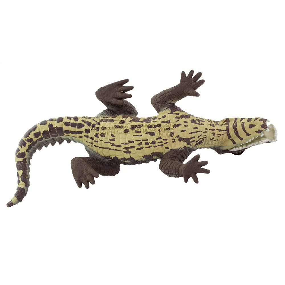 Caiman - 100238