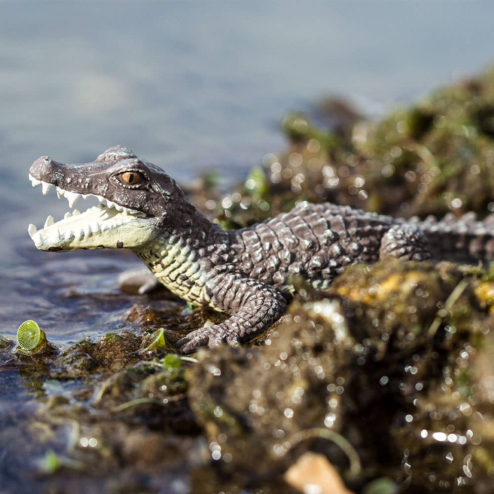 Caiman - 100238