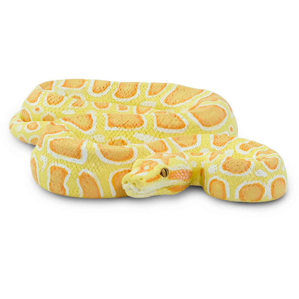 Safari Ltd. - Albino Burmese Python - 100250