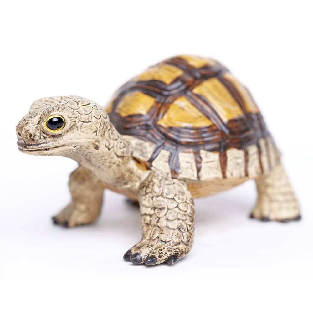 Safari Ltd. - Tortoise - 258629