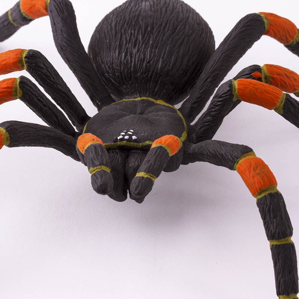 Orange - Kneed Tarantula - 542006