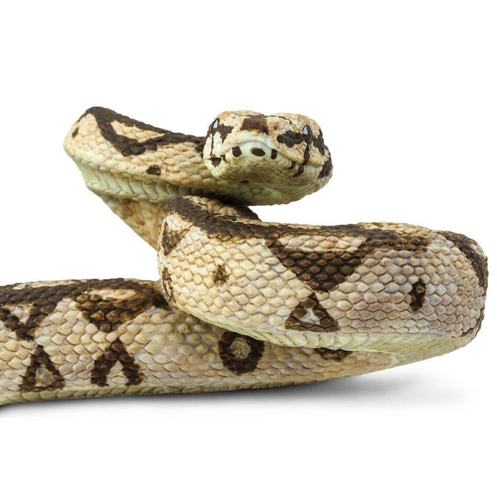 Safari Ltd. - Boa Constrictor Figurine Toy