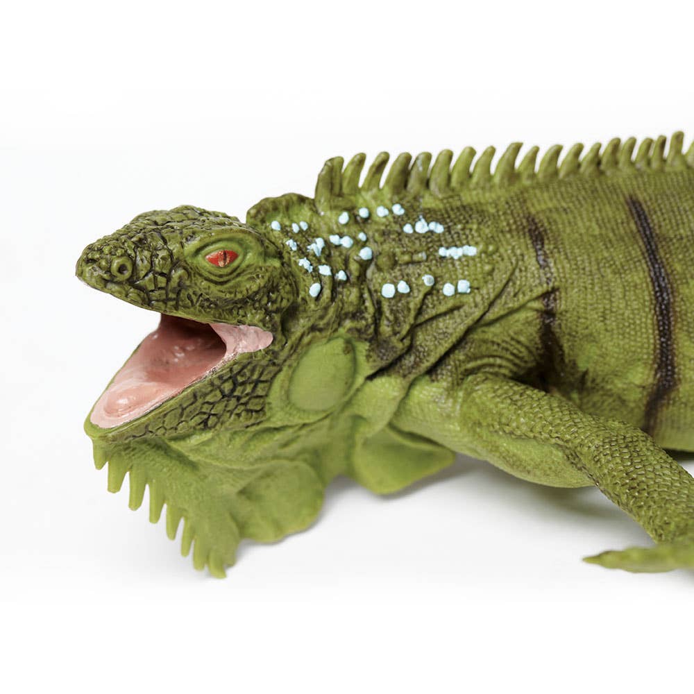 Safari Ltd. - Iguana - 267729