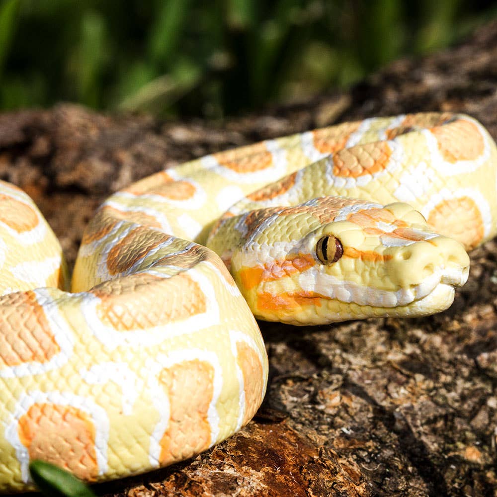 Safari Ltd. - Albino Burmese Python - 100250