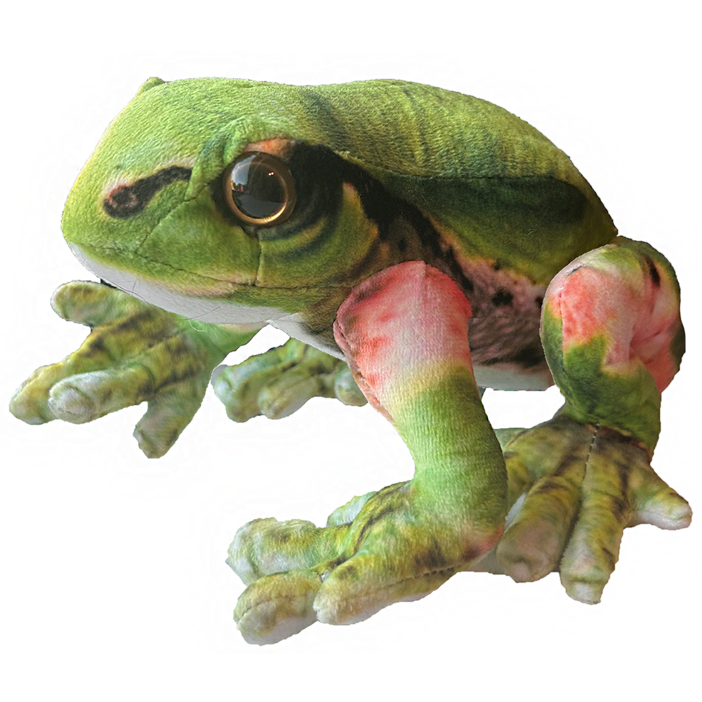 Texas Toy Distribution - Japanese Tree Frog 6.7" Plush Stuffed Animal