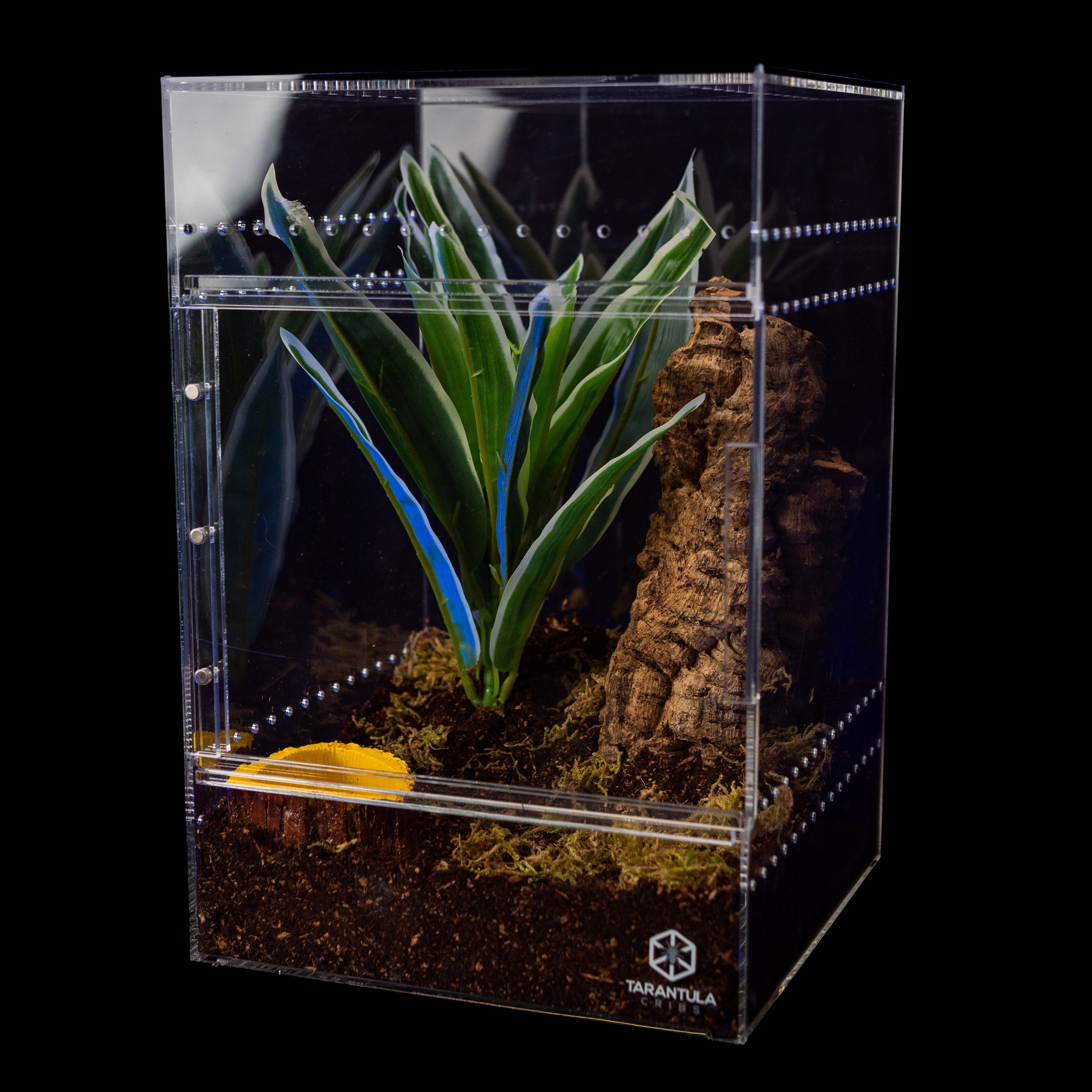 PRE ORDER - 4-6 weeks- Large Treehouse- Clear Back