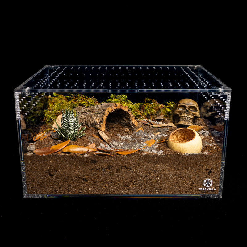 Large Cuboid | 14108 Cuboid | Terrestrial Enclosure w/ Snap on/off Lid
