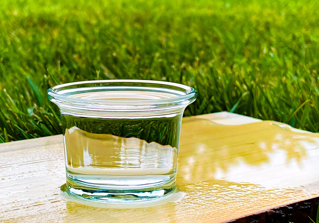 Glass Water Dish