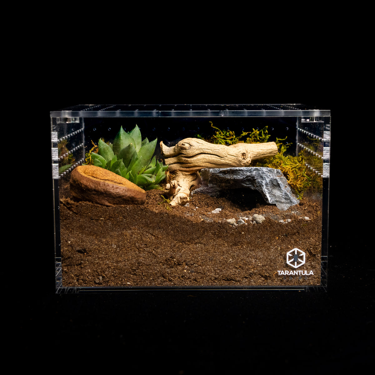 Medium Cuboid | 976 Cuboid | Terrestrial Enclosure w/ Snap on/off Lid